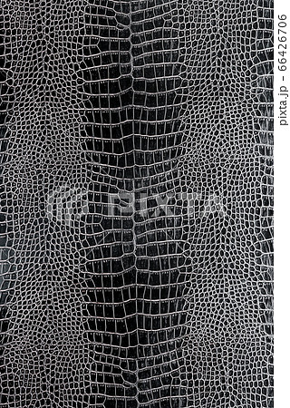 black crocodile or snake skin leather background 66426706