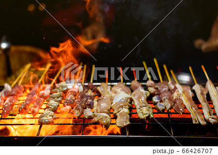 Variety of Barbecue skewers meat kebabs with 66426707