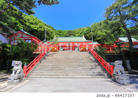 【山口県】晴天下の赤間神宮 拝殿 【山口県】晴天下の赤間神宮 拝殿 66427107