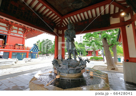 浅草 浅草寺の手水舎 浅草 浅草寺の手水舎 66428041