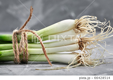 Fresh green onions close-up, Gray background, Organic products, layout for a healthy diet and organic restaurant cooking advertisement 66428514