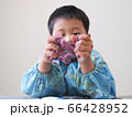 粘土遊びをする幼児 66428952