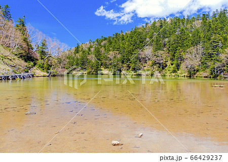 透明な湖水の弥陀ヶ池 透明な湖水の弥陀ヶ池 66429237