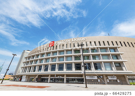 福岡県福岡市　福岡PayPayドーム 66429275