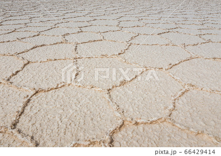 Morning light over Uyuni salar dry ground and textures. South of Bolivia. 66429414