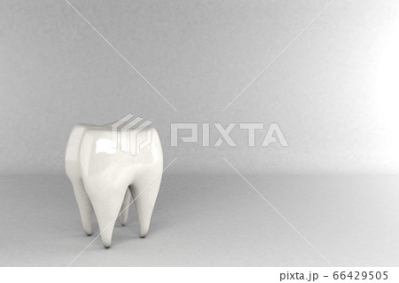 Tooth on gray background. Tooth on gray background. 66429505