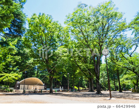 東京 井の頭公園 野外ステージ 東京 井の頭公園 野外ステージ 66429946