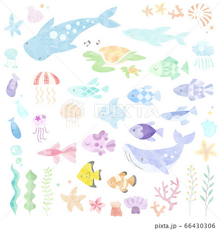 Illustration Set Of Sea Creatures In Watercolor Stock Illustration