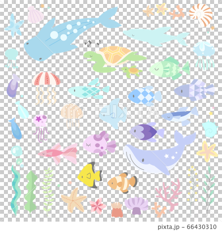 海の生き物のイラストセット(シンプル) 66430310