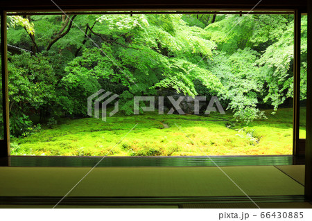 京都市左京区にある瑠璃光院からの風景、新緑・日本庭園【6月】 66430885