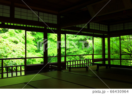 京都市左京区にある瑠璃光院からの風景、新緑・日本庭園【6月】 66430964