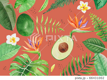 背景 花 熱帯植物のイラスト素材