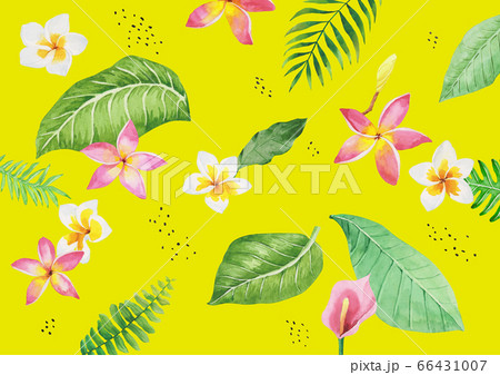 背景 水彩画 熱帯植物のイラスト素材