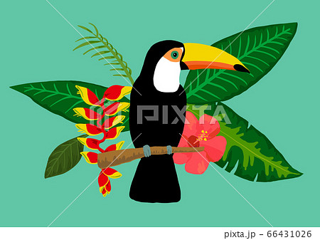 夏 葉 木の葉のイラスト素材