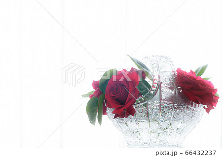 窓辺のバラ　ソフトフォーカス 66432237