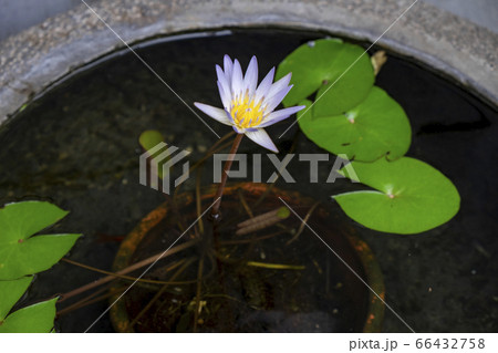 台湾の風景 光景 台湾の風景 光景 66432758
