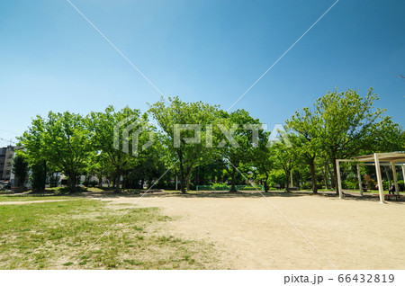 豊中市南桜塚　皿池公園 66432819