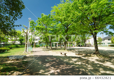 豊中市南桜塚 皿池公園 豊中市南桜塚 皿池公園 66432821