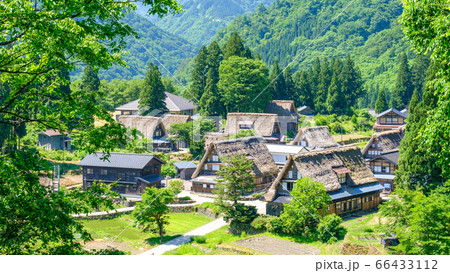 初夏の相倉合掌造り集落 初夏の相倉合掌造り集落 66433112