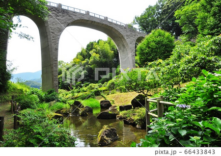 神奈川県立七沢森林公園　森のかけはしとあやめ池と新緑 66433843