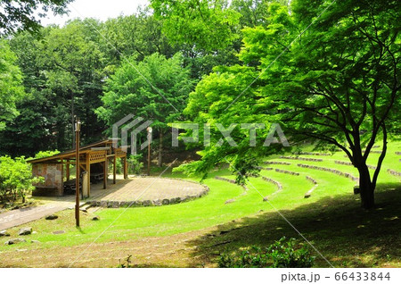 神奈川県立七沢森林公園　野外ステージと新緑 66433844