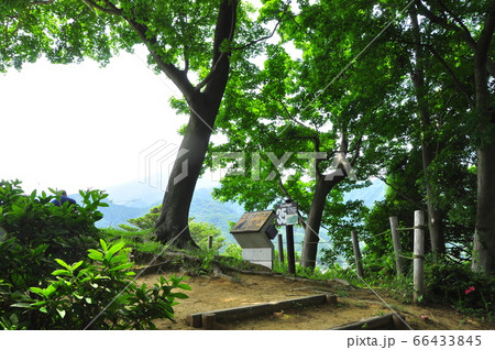 神奈川県立七沢森林公園　ななさわの丘入口と新緑 66433845