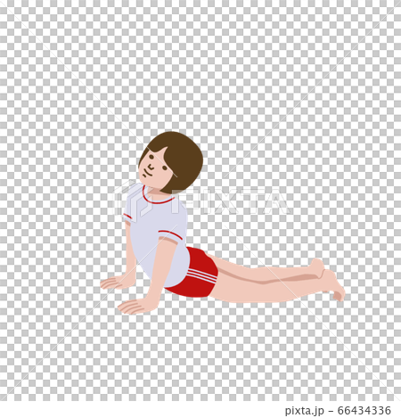 Gymnastics yoga cobra pose girl illustration 66434336