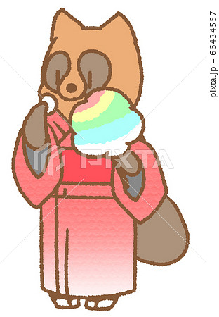 わたあめと浴衣を着たタヌキ（赤色） 66434557