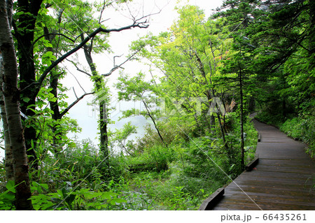 北海道 利尻島 姫沼 北海道 利尻島 姫沼 66435261