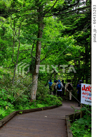 北海道 利尻島 姫沼 北海道 利尻島 姫沼 66435263