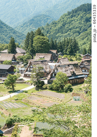 初夏の相倉合掌造り集落 66435339