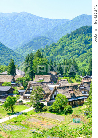 初夏の相倉合掌造り集落 66435341