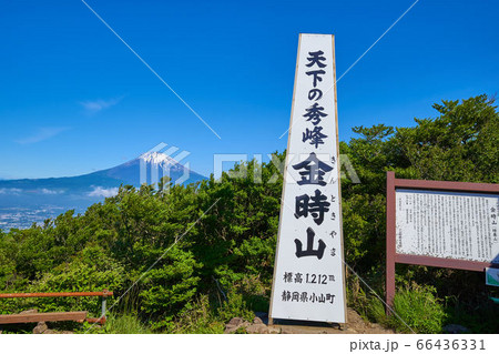 金時山の山頂から富士山方面眺望 66436331