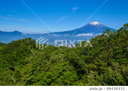 金時山の山頂から富士山方面眺望 66436332