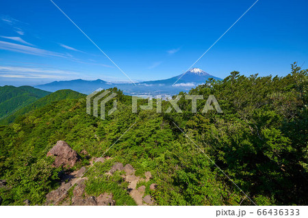 金時山の山頂から富士山方面眺望 66436333