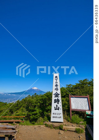 金時山の山頂から富士山方面眺望 66436339
