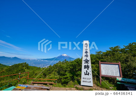 金時山の山頂から富士山方面眺望 66436341