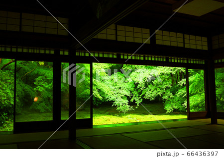 京都市左京区にある瑠璃光院からの風景、新緑・日本庭園【6月】 66436397