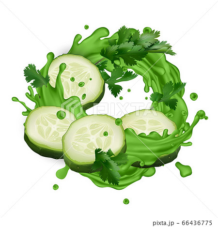 Green juice splash with cucumber slices and celery leaves Green juice splash with cucumber slices and celery leaves 66436775