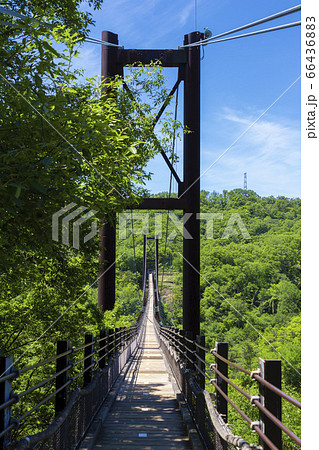 ほしだ園地の星のブランコ ほしだ園地の星のブランコ 66436883
