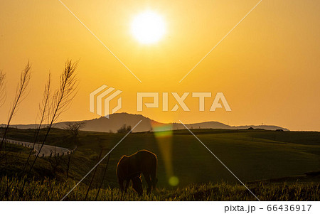 美しい夕日と阿蘇大観峰からの風景 パノラマ風景Scenery from Aso Daikanbo 66436917