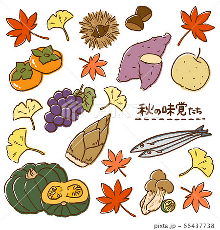 秋の味覚 美味しい食べ物たちのイラスト素材