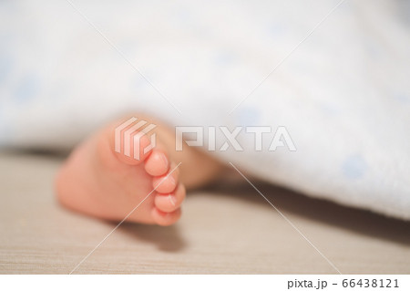 可愛い赤ちゃんの素材写真 可愛い赤ちゃんの素材写真 66438121