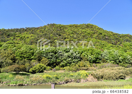 新庄山城と初夏の青空　岡山県岡山市東区 66438582