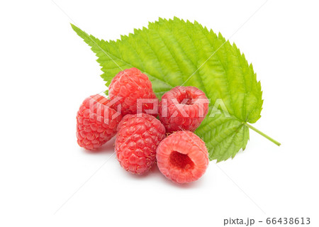Raspberry with leaf isolated on white background 66438613