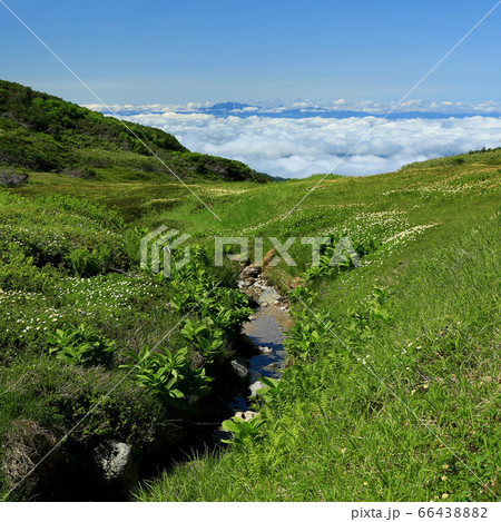 北海道 旭岳 北海道 旭岳 66438882