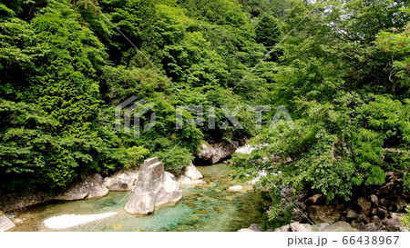 阿寺渓谷の渓流 阿寺渓谷の渓流 66438967