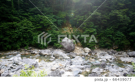 阿寺渓谷の渓流 66439077