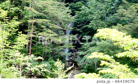 阿寺渓谷の渓流,吉報の滝 66439079