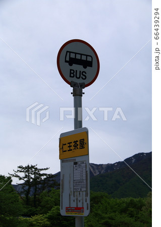 山中のバス停【仁王茶屋】 66439294